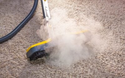 The Importance of Sanitizing Surfaces & Carpets During Flu Season