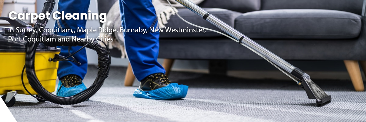 Fraser Elite Carpet Cleaning serving North Andover MA
