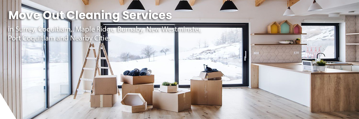 Fraser Elite Carpet Cleaning serving North Andover MA