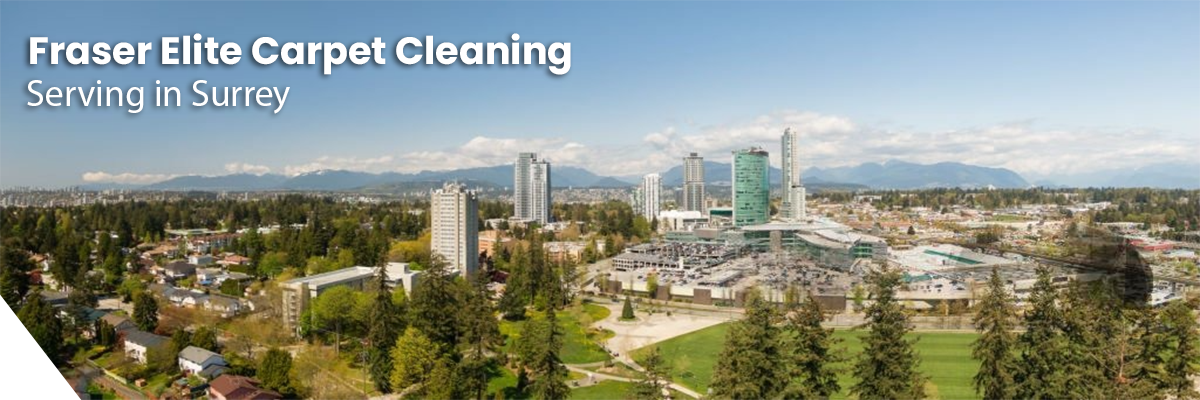 Fraser Elite Carpet Cleaning serving Peabody MA