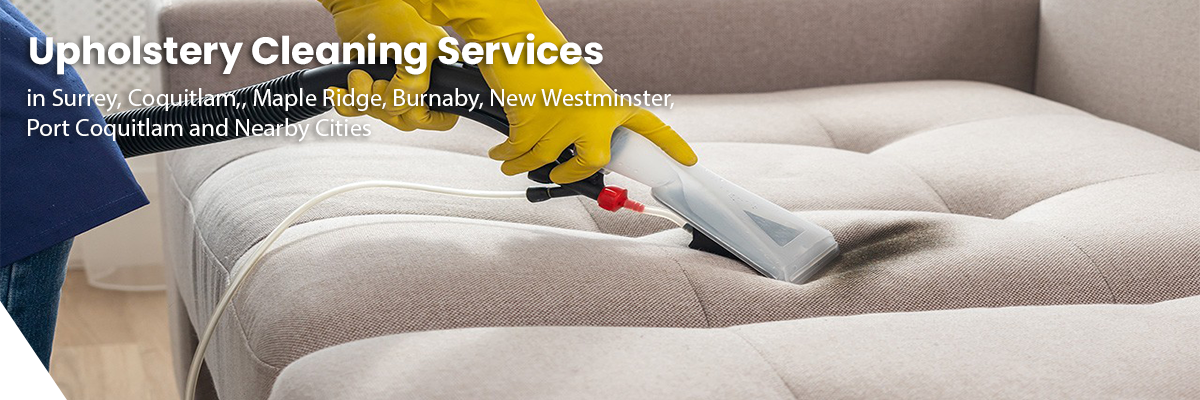 Fraser Elite Carpet Cleaning serving North Andover MA