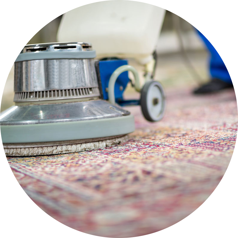 Carpet Cleaning Service Icon
