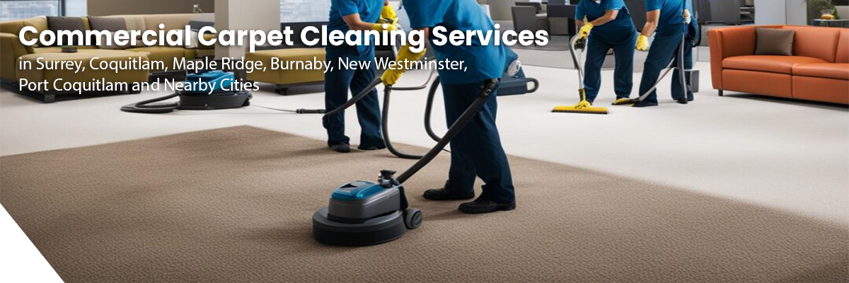 Fraser Elite Carpet Cleaning serving North Andover MA