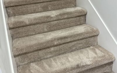 Langley, BC Stairwell Carpet Rejuvenation Success
