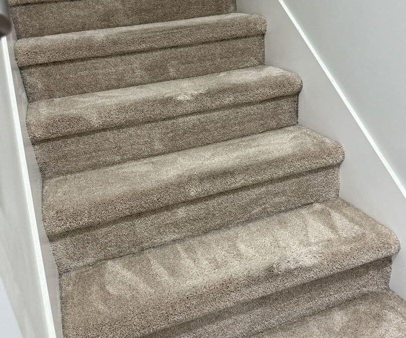 Langley, BC Stairwell Carpet Rejuvenation Success