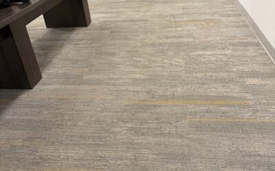Transforming Office Carpets in Surrey: A Steam Carpet Revival Success Story