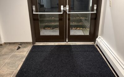 Area Rug Rejuvenation Experts in Abbotsford, BC: Sandra’s Success Story