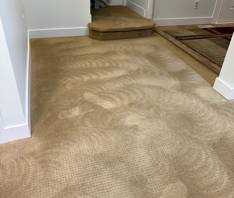 Surrey, BC Carpet Restoration Success: Eric’s Carpet Looks Brand New Again