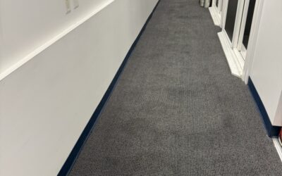 Burnaby, BC Carpet Restoration: 5-Year Neglect Transformed