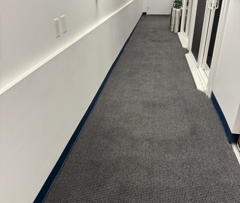 Burnaby, BC Carpet Restoration: 5-Year Neglect Transformed