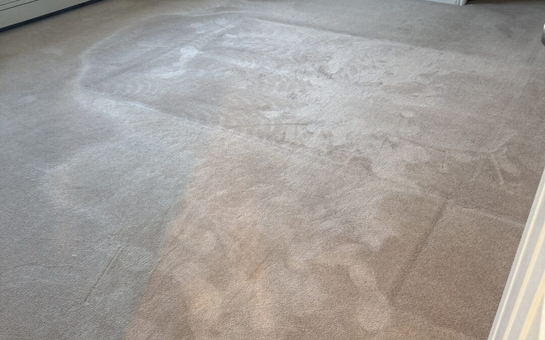 Surrey Carpet Steam Cleaning Turns Years of Grime to Like Brand New