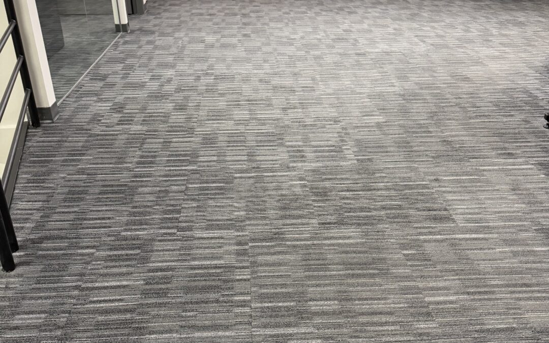Surrey, BC Carpet Revival: Asmerom’s Second-Year Refresh
