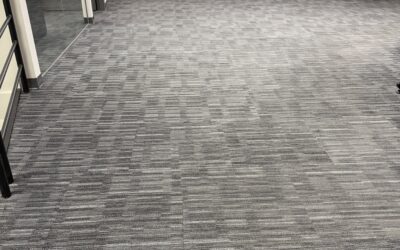 Surrey, BC Carpet Revival: Asmerom’s Second-Year Refresh