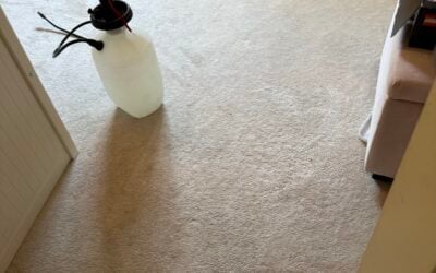 Surrey Carpet Steam Cleaning Removes a Stubborn Ink Stain for One Relieved Mom