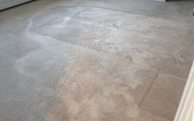 Surrey Carpet Steam Cleaning Turns Years of Grime to Like Brand New