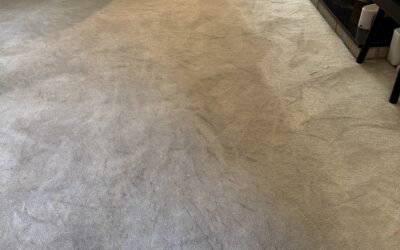 Vancouver, BC Carpet Revival Brings Nuha’s Carpet Back to Life
