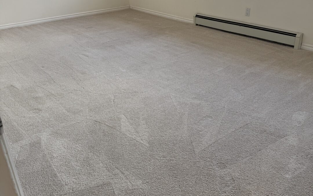Surrey Move-In Carpet Revitalization Turns Heads