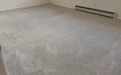Surrey Move-In Carpet Revitalization Turns Heads