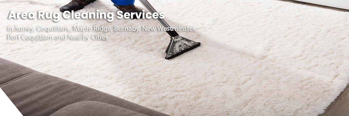 area-rug Fraser Elite Carpet Cleaning serving North Andover MA