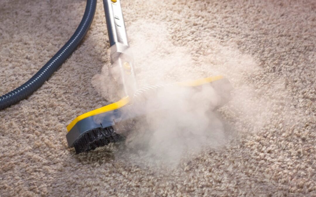 The Importance of Sanitizing Surfaces & Carpets During Flu Season