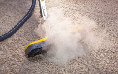 The Importance of Sanitizing Surfaces & Carpets During Flu Season