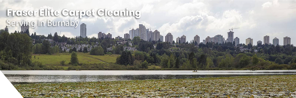 burnaby Fraser Elite Carpet Cleaning serving Peabody MA