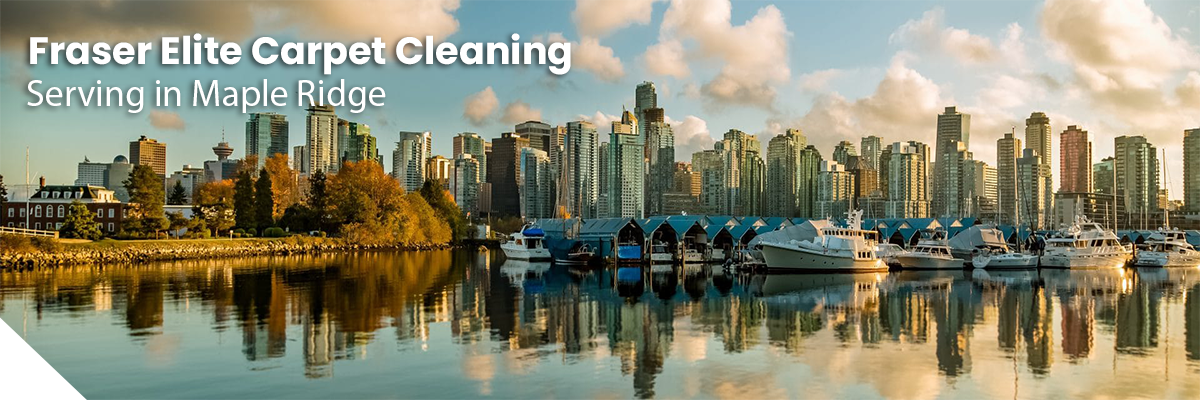 mapleridge Fraser Elite Carpet Cleaning serving Peabody MA