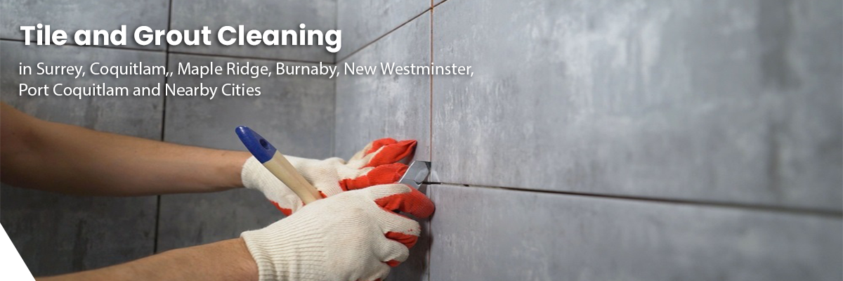 tile-grout Fraser Elite Carpet Cleaning serving North Andover MA