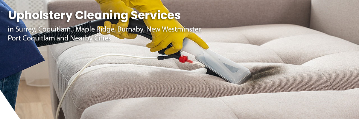 upholstery Fraser Elite Carpet Cleaning serving North Andover MA
