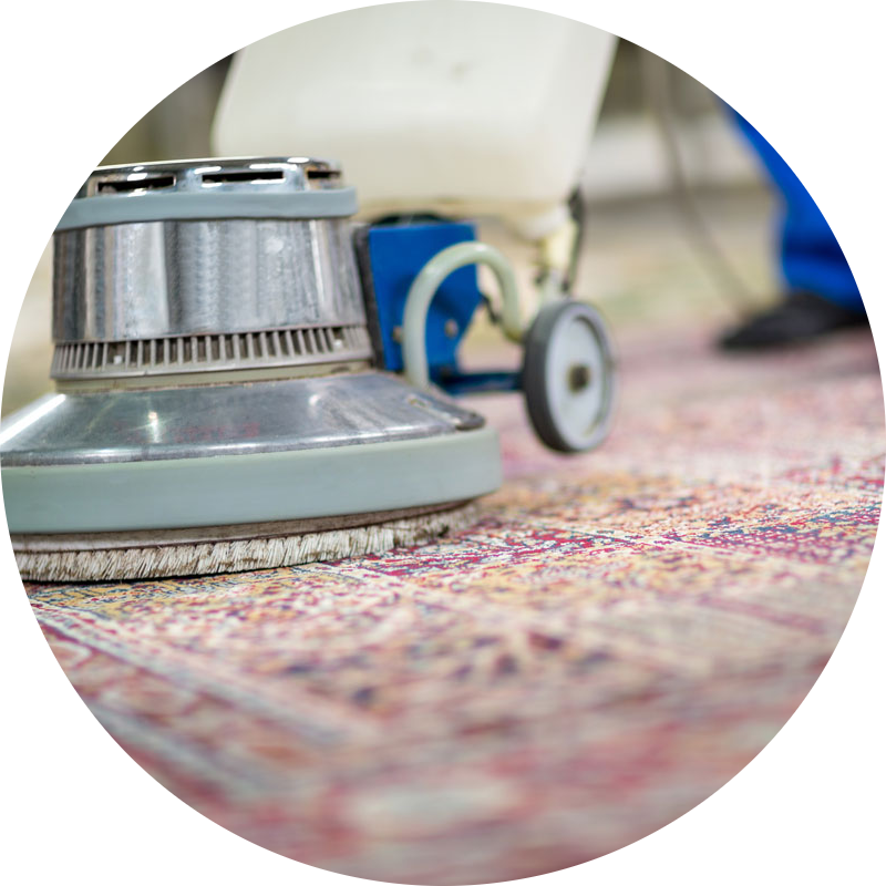 Carpet Cleaning Service Icon