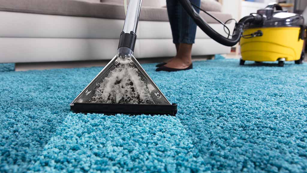 person using an at home carpet cleaner Fraser Elite Carpet Cleaning serving North Andover MA